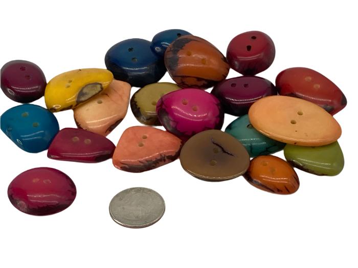 Group of tagua nut buttons